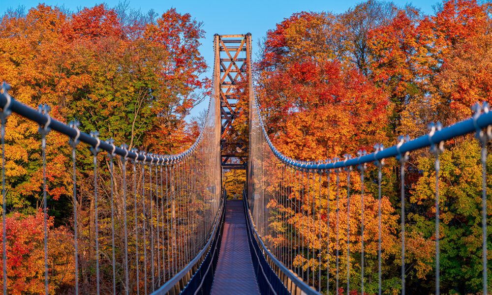 Photo Provided by Petoskey Area Visitors Bureau